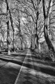 _MG_4458hdr-Kopie